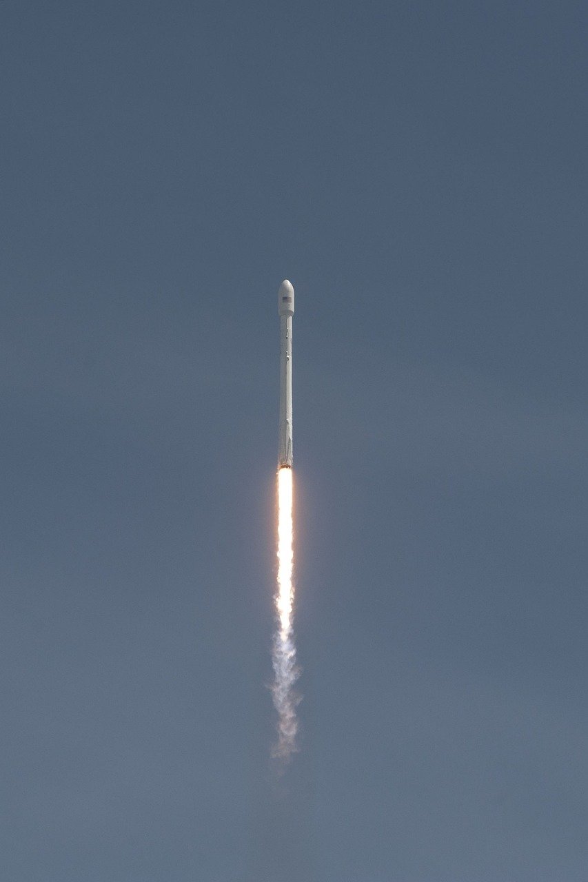 SpaceX Launch Elon Musk Reaction