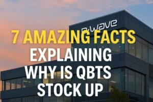Why is QBTS stock up