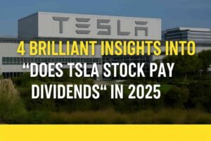 Does TSLA Stock Pay Dividends?