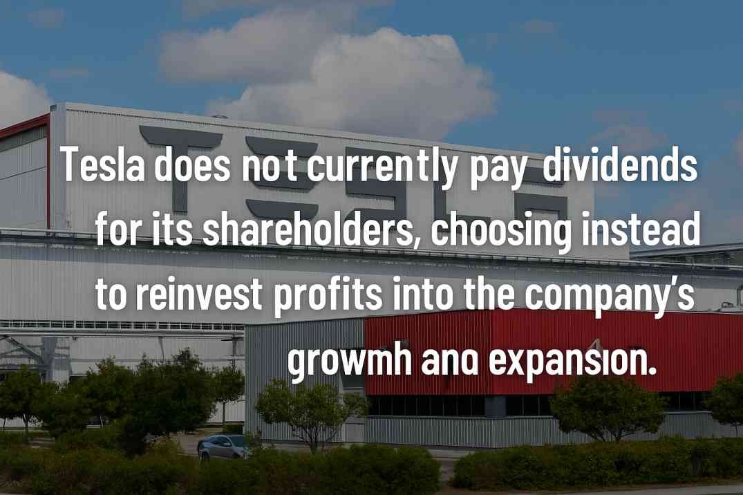 Does TSLA Stock Pay Dividends?