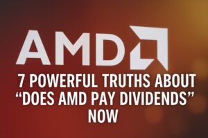 Does AMD Pay Dividends