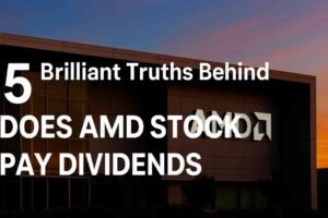 Does AMD stock pay dividends?