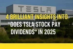 Does TSLA Stock Pay Dividends?
